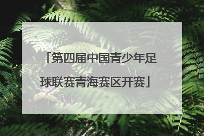 第四届中国青少年足球联赛青海赛区开赛