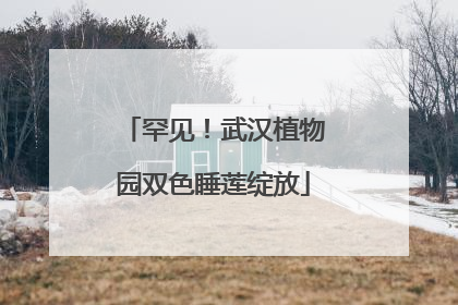 罕见！武汉植物园双色睡莲绽放