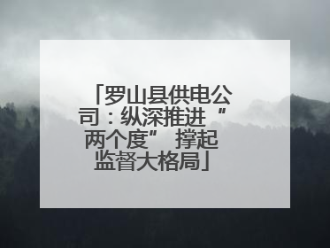 罗山县供电公司：纵深推进“两个度” 撑起监督大格局