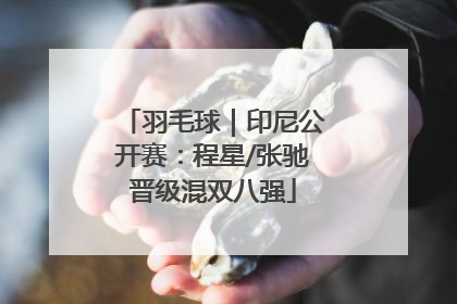 羽毛球｜印尼公开赛：程星/张驰晋级混双八强