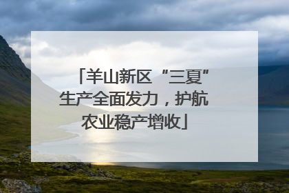 羊山新区“三夏”生产全面发力，护航农业稳产增收