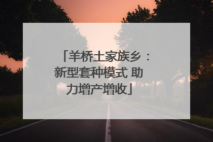 羊桥土家族乡：新型套种模式 助力增产增收
