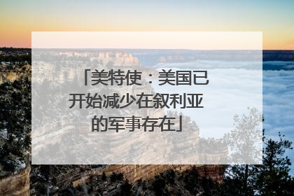 美特使：美国已开始减少在叙利亚的军事存在