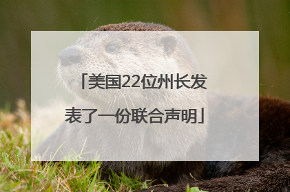 美国22位州长发表了一份联合声明