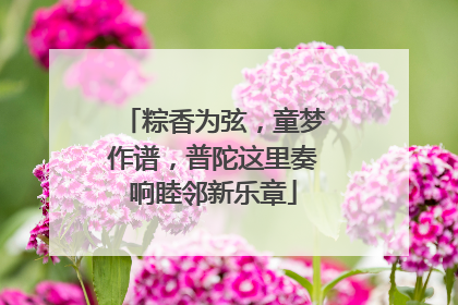 粽香为弦，童梦作谱，普陀这里奏响睦邻新乐章