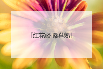 红花峪 桑葚熟