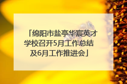 绵阳市盐亭华宸英才学校召开5月工作总结及6月工作推进会
