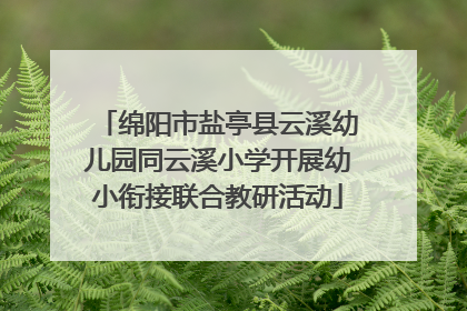 绵阳市盐亭县云溪幼儿园同云溪小学开展幼小衔接联合教研活动