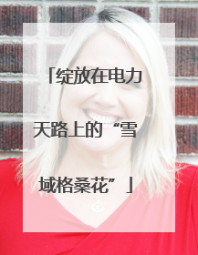 绽放在电力天路上的“雪域格桑花”