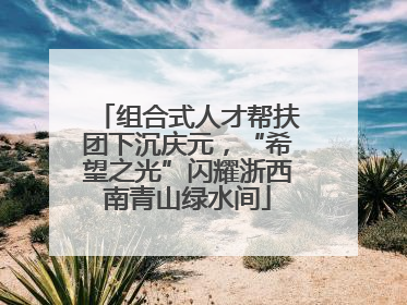组合式人才帮扶团下沉庆元，“希望之光”闪耀浙西南青山绿水间