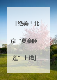 绝美！北京“莫奈睡莲”上线