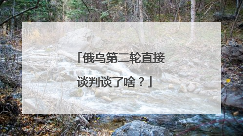 俄乌第二轮直接谈判谈了啥？