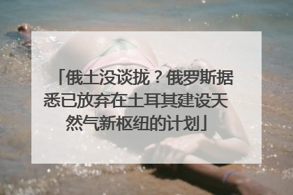 俄土没谈拢？俄罗斯据悉已放弃在土耳其建设天然气新枢纽的计划