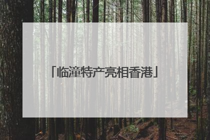 临潼特产亮相香港
