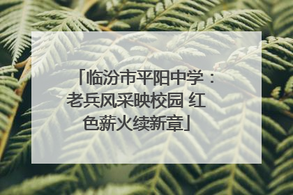临汾市平阳中学：老兵风采映校园 红色薪火续新章
