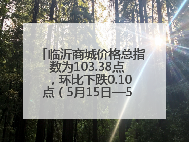 临沂商城价格总指数为103.38点，环比下跌0.10点（5月15日—5月21日）