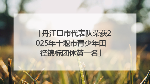 丹江口市代表队荣获2025年十堰市青少年田径锦标团体第一名