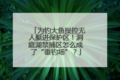 为钓大鱼操控无人艇进保护区！洞庭湖禁捕区怎么成了“垂钓场”？