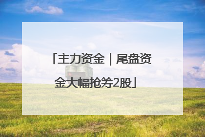 主力资金｜尾盘资金大幅抢筹2股