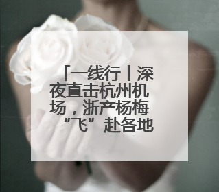 一线行丨深夜直击杭州机场，浙产杨梅“飞”赴各地市场