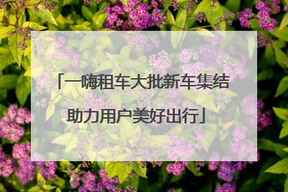 一嗨租车大批新车集结 助力用户美好出行