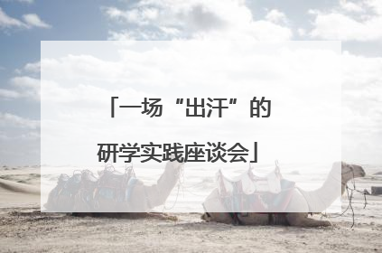 一场“出汗”的研学实践座谈会