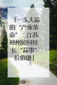 一头大蒜的“产业革命”：江苏邳州如何拉长“蒜事”价值链