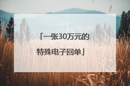 一张30万元的特殊电子回单