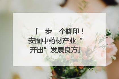 一步一个脚印！安图中药材产业“开出”发展良方