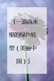 一滴卤水里的绿色转型（美丽中国）