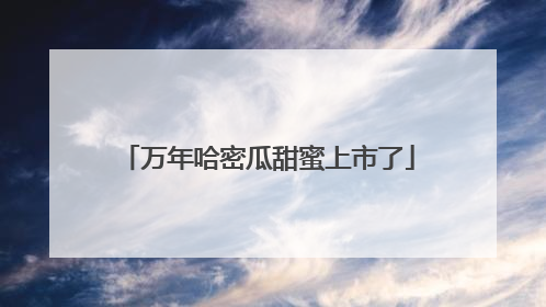 万年哈密瓜甜蜜上市了