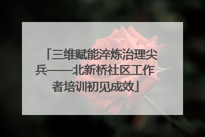 三维赋能淬炼治理尖兵——北新桥社区工作者培训初见成效