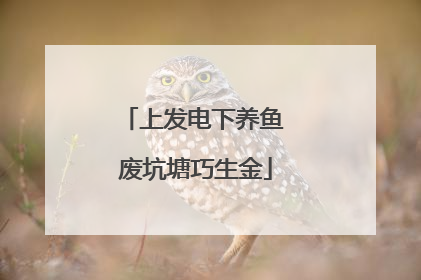 上发电下养鱼 废坑塘巧生金
