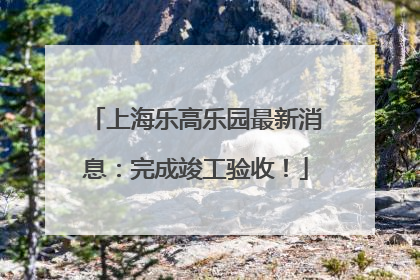 上海乐高乐园最新消息：完成竣工验收！