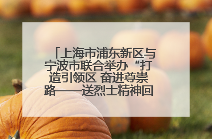 上海市浦东新区与宁波市联合举办“打造引领区 奋进尊崇路——送烈士精神回家乡”主题活动
