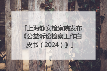 上海静安检察院发布《公益诉讼检察工作白皮书（2024）》