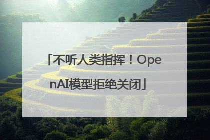 不听人类指挥！OpenAI模型拒绝关闭