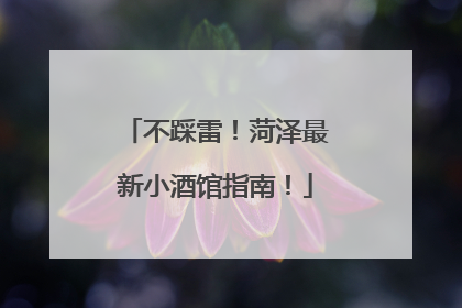不踩雷！菏泽最新小酒馆指南！