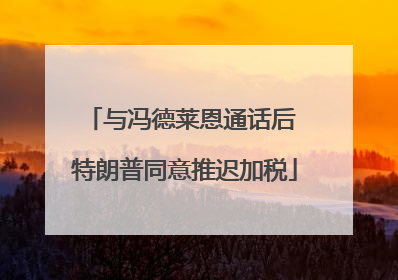 与冯德莱恩通话后 特朗普同意推迟加税