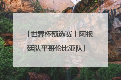 世界杯预选赛丨阿根廷队平哥伦比亚队