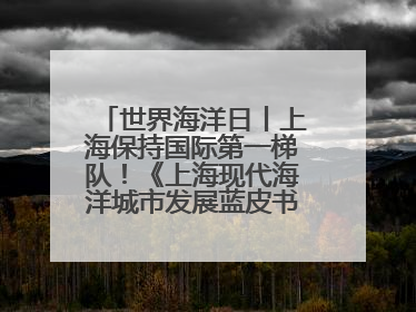 世界海洋日丨上海保持国际第一梯队！《上海现代海洋城市发展蓝皮书2024评估报告》发布