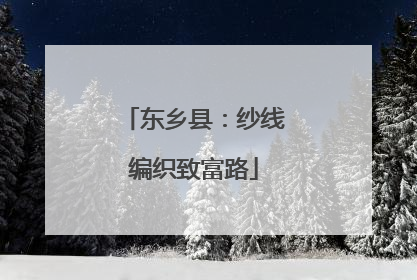 东乡县：纱线编织致富路