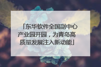东华软件全国副中心产业园开园，为青岛高质量发展注入新动能