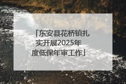 东安县花桥镇扎实开展2025年度低保年审工作