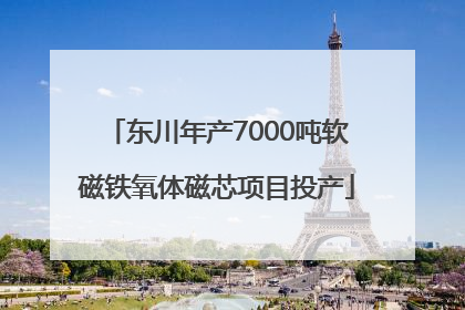 东川年产7000吨软磁铁氧体磁芯项目投产