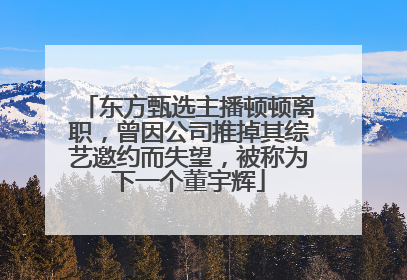 东方甄选主播顿顿离职，曾因公司推掉其综艺邀约而失望，被称为下一个董宇辉