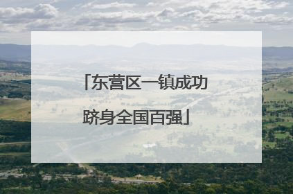 东营区一镇成功跻身全国百强