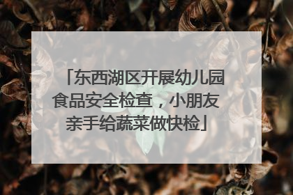 东西湖区开展幼儿园食品安全检查，小朋友亲手给蔬菜做快检