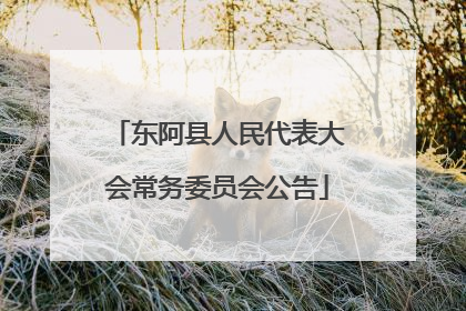 东阿县人民代表大会常务委员会公告
