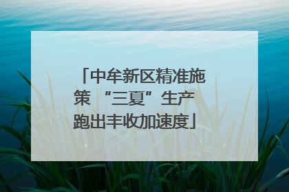 中牟新区精准施策 “三夏”生产跑出丰收加速度